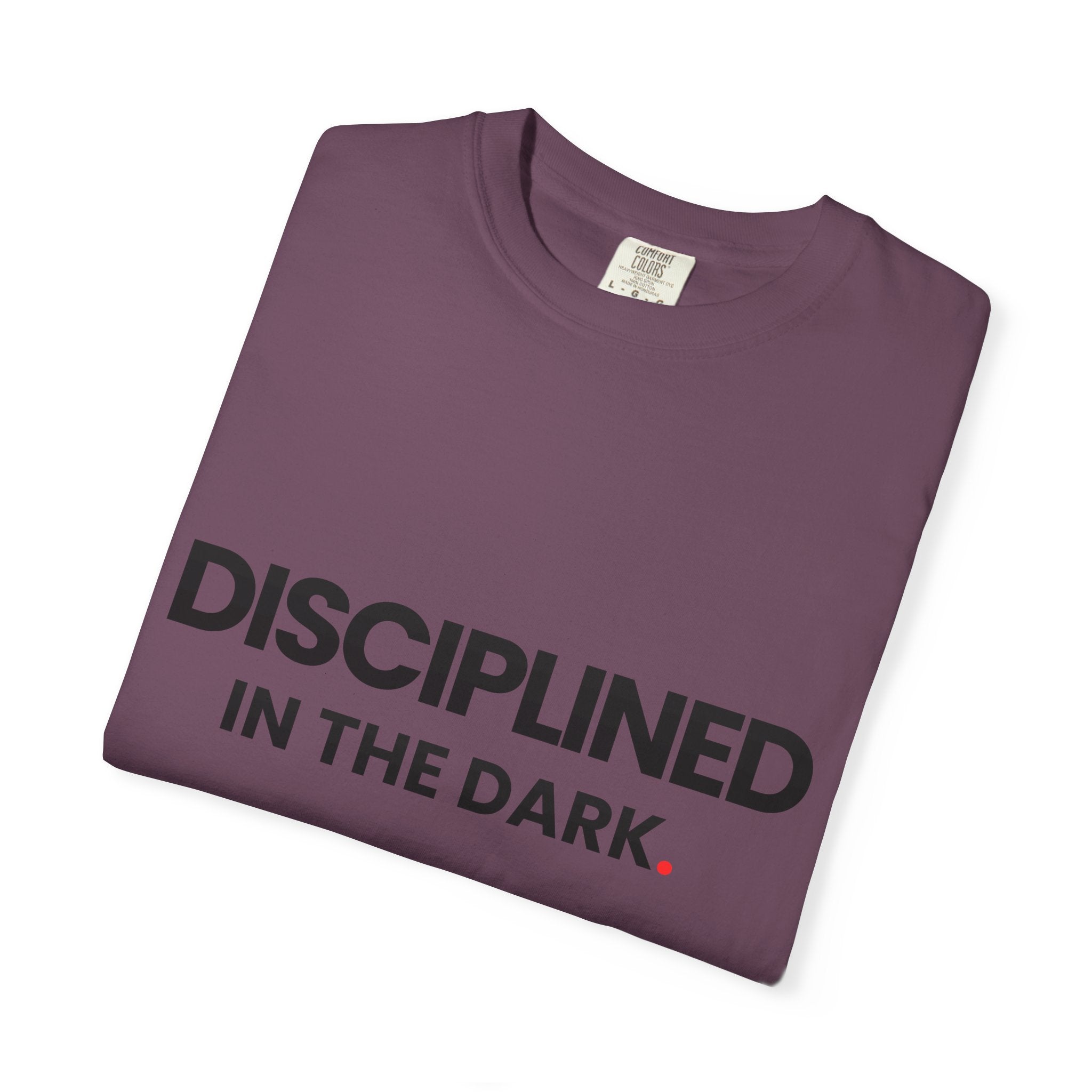 Discipline in the Dark-